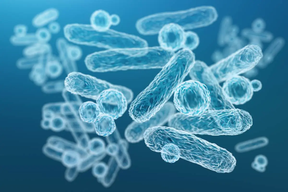 The Link Between Oral Bacteria and Colon Cancer